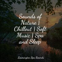 Fading Twilight - Zen Meditate & Sounds of Rain & Thunder Storms & It's Raining