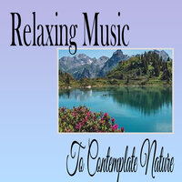 Yoga Meditation - Relaxing music