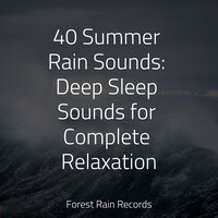 Cozy Campfire - Spa & Spa & Heavy Rain Sounds & Happy Baby Lullaby Collection