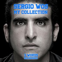 Microchips and Wires - Sergio WoS