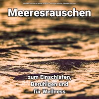 Töne an diesem Tag - Meeresrauschen & Naturgeräusche & Meeresrauschen in bester Qualität
