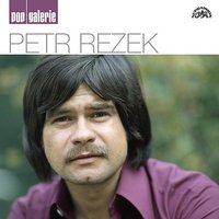 Dotazník (Rock Bottom) - Bezinky & Hana Zagorová & Petr Rezek & Lynsey de Paul & Karel Vágner se svým orchestrem & Zdenek Borovec