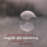 OJ Lernen Yingele Mit Cheisik - Gjertruds Sigøynerorkester