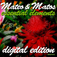 Afro Experience - Mateo & Matos