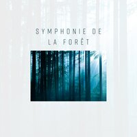 Bain de forêt - Collection de Nature Sons de Méditation
