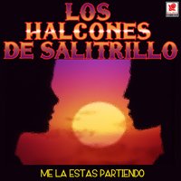 Regresa Gaviota - Los Halcones De Salitrillo
