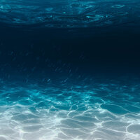 Calming Ocean and Wave Sounds, Pt. 9 - Ocean Sounds FX & Sounds of Nature Noises & Nature Sounds ASMR