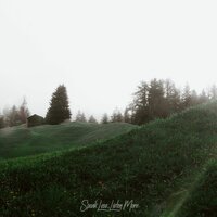 Pine Trees - Jeffu & L'eupe