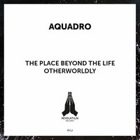 The Place Beyond the Life - Aquadro