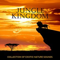 Thunderstorm - Exotic Nature Kingdom