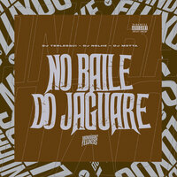 No Baile do Jaguare - DJ TERLESQUI & DJ Nelhe & DJ MOTTA