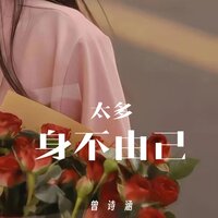 太多身不由己 - 曾诗涵 & Dj阿能