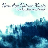 Delicate Music of Piano & Maracas: Spiritual Retreat - Mothers Nature Music Academy