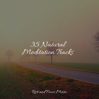 Fresh Air - Happy Baby Lullaby Collection & Deep Sleep Music Academy & Reiki Music