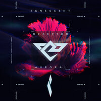 Camorra - Receptor