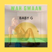 Funky Reggae Party - Baby G