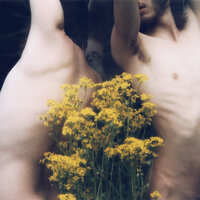 Primavera - Ephemeral Sky