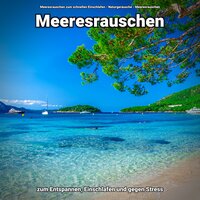 Schwelgende Ozeanwellen - Meeresrauschen zum schnellen Einschlafen & Naturgeräusche & Meeresrauschen