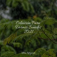 Astral - Musica Para Dormir Profundamente & Massagem Coleção de Músicas & Música para Massagem Especialistas