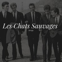 J'ai pris dans tes yeux - Les Chats Sauvages
