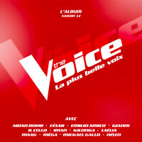 Glimpse of us - Gianni & The Voice