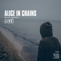 Man in the Box - Alice In Chains