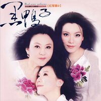 英雄赞歌 - 黑鸭子