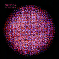 Nana - Orkidea