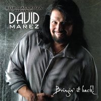 Flor De Mirasol - David Marez