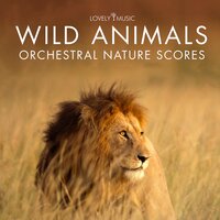 The Hunt - Lovely Music Library