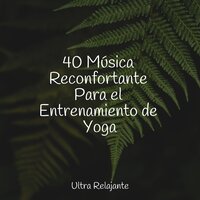 Atardecer Sonoro - Academia de Música para Massagem e Relaxamento & Natureza Musica Bem-Estar Academia & Música De Relajación Para Dormir Profundamente
