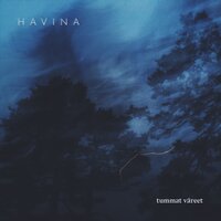 Seilaaja - Havina