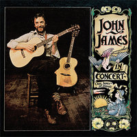 Suitcase Shaped Like That - John James