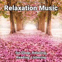 Relaxing Music to Chill To - Relaxing music & Yoga Music & Relaxing Music by Vince Villin