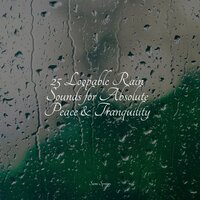 Relaxing Storm (Rain and Thunder) - Ambiente & Pro Sounds of Nature & Nature's Symphony