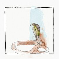 Skanda - David Mayer