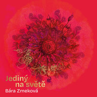 Koupím ti - Bára Zmeková
