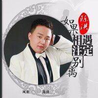 如果相遇注定别离 - 陈洪