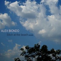 Hippy Boor - Alex Biondo
