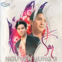 Chiếc Lá Mùa Đông - Nguyễn Hưng