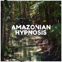 Learn to Chill - Zen Soothing Sounds of Nature & Hypnosis Nature Sounds Universe & Beautiful Deep Sleep Music Universe