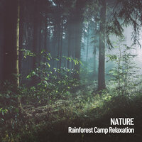 Evening Camp - Relaxing Music Therapy & Nature Sounds Nature Music & Sounds of Nature Noise