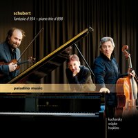 Trio for Piano, Violin and Violoncello No. 1 in B-Flat Major, Op. 99, D. 898: II. Andante Un Poco Mosso - Elizabeth Hopkins & Boris Kucharsky & Peter Wöpke & Франц Шуберт