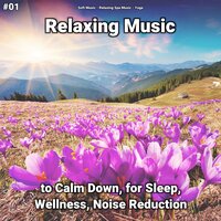 Relaxing Music for Your Baby - Soft Music & Relaxing Spa Music & Yoga