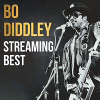 Cops and Robbers - Bo Diddley