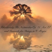 The Nutcraker, Act II, Op. 71: Chocolate (Spanish Dance) - Antal Dorati & John McCarthy & London Symphony Orchestra & Chorus & Пётр Ильич Чайковский