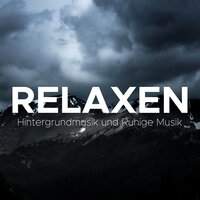 Gitarre - Amelia System