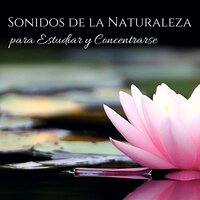 Las Canciones Lentas - Naturaleza Ensemble