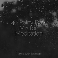 White Noise Rainy Forest - Deep Sleep Music Academy & Baby Sleep Lullaby Academy & The Rain Library