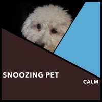 Adorable Family Moments - Puppy Music & Puppy Music Therapy